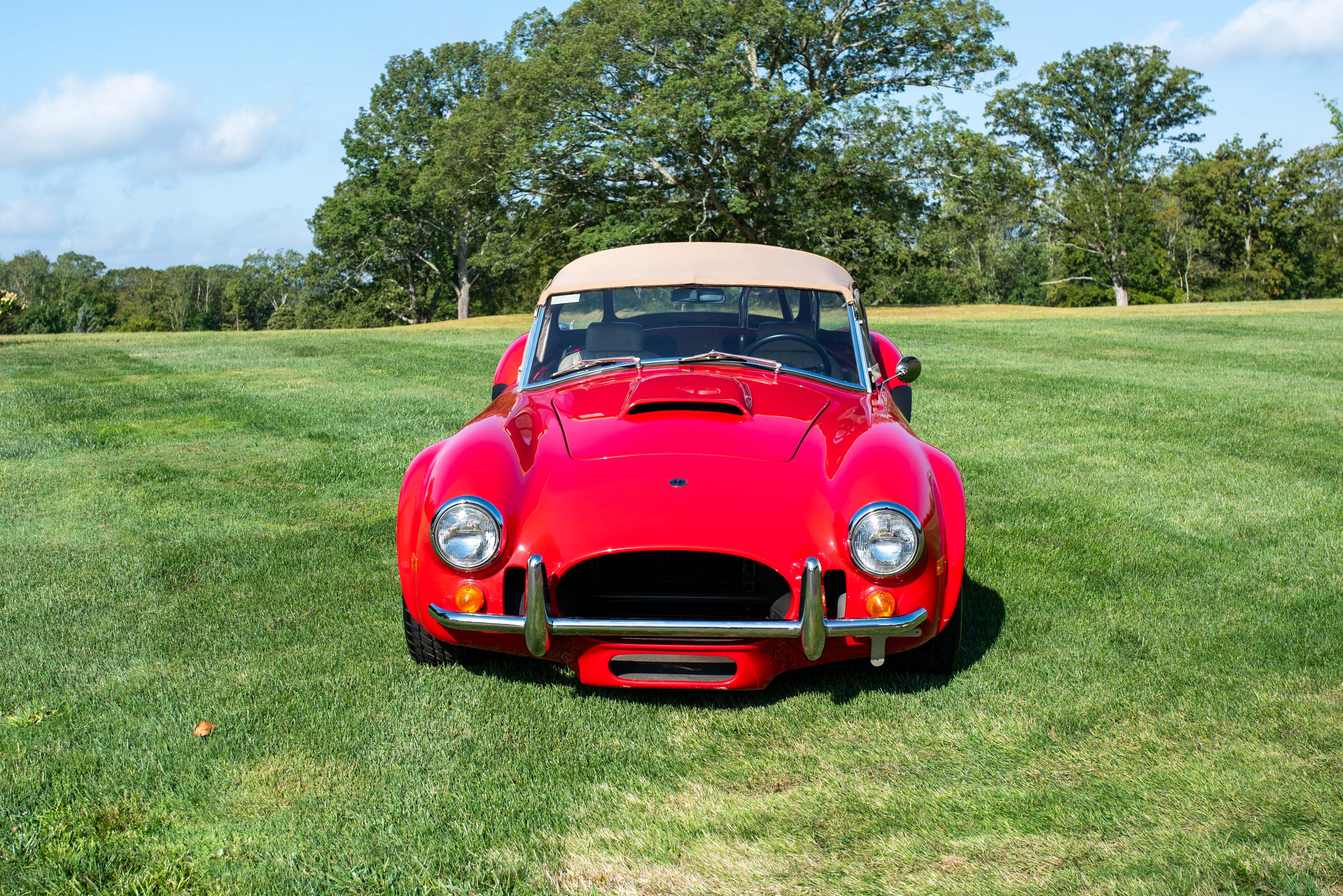 1996 Excalibur Cobra